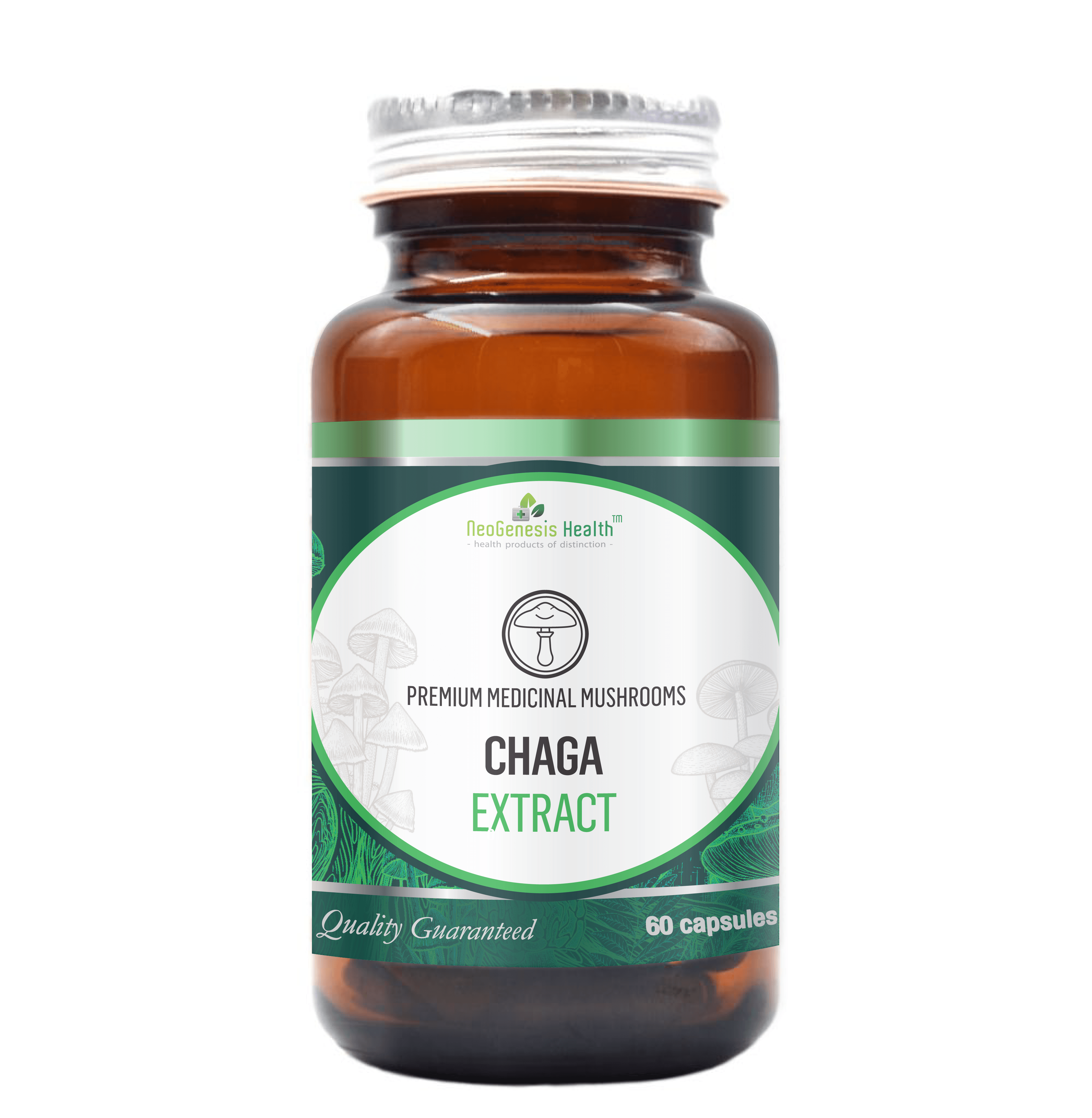 Chaga Mushroom