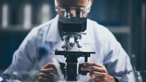 Our Research
