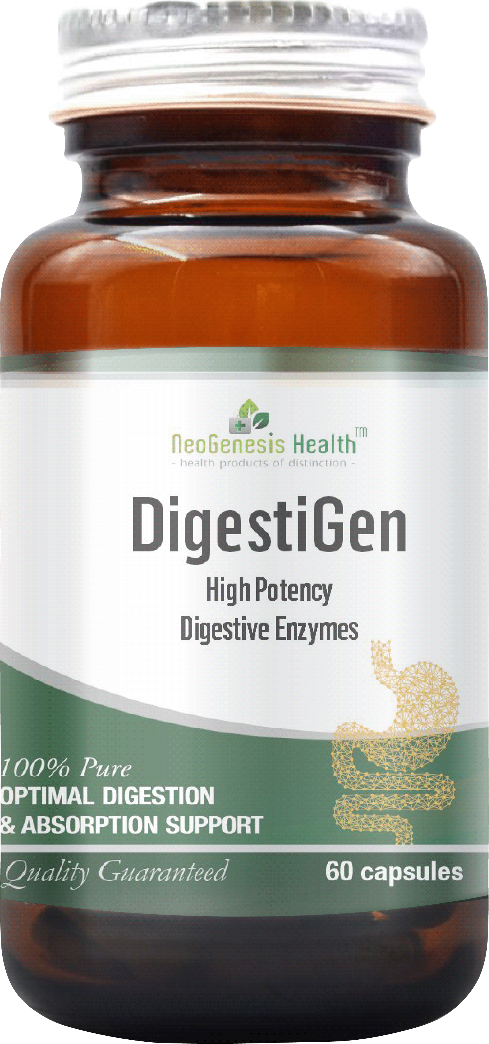 DigestiGen