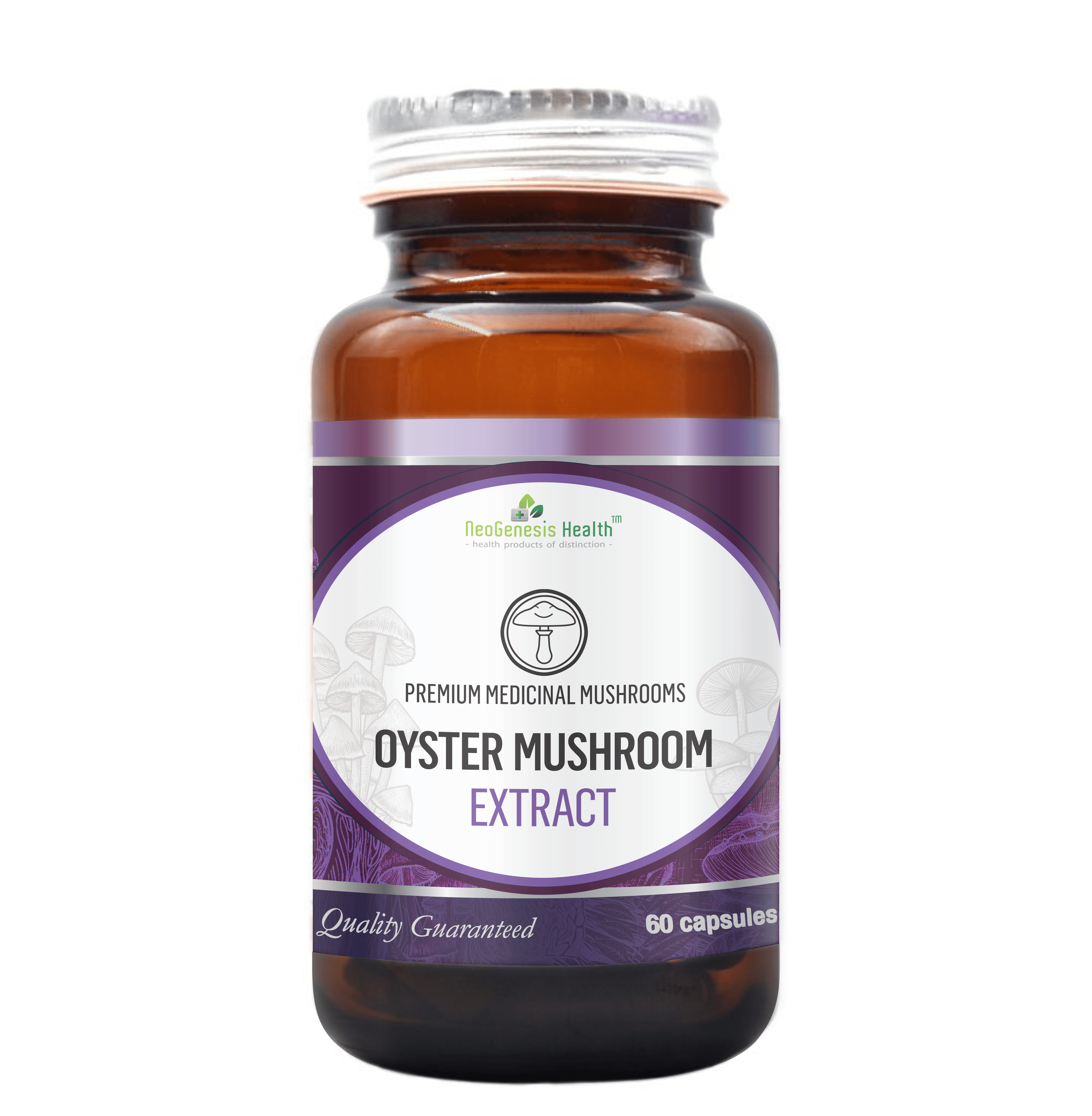 Oyster Mushroom