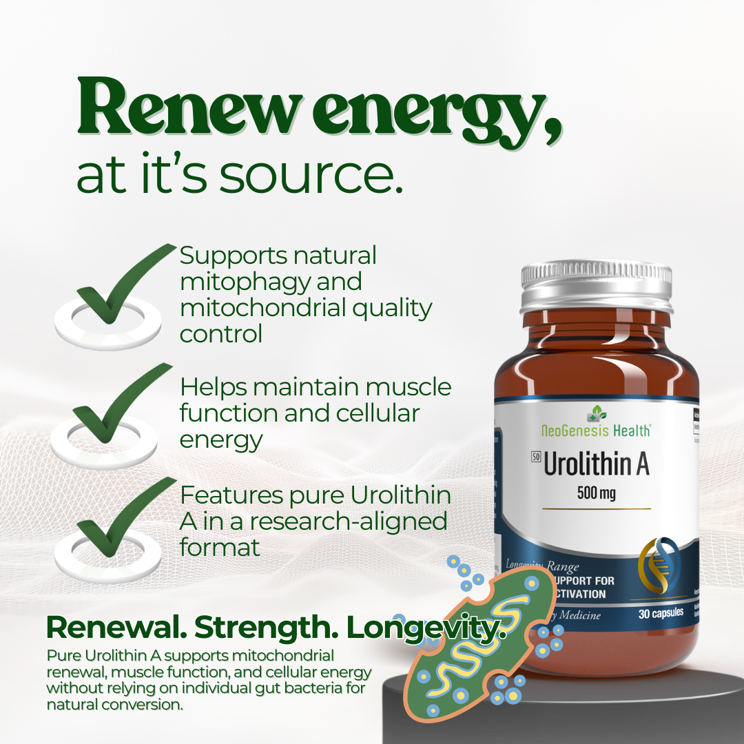 Pure Urolithin A – 500 mg