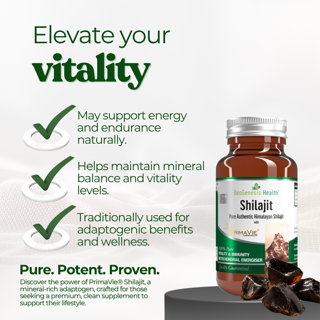 Shilajit 60s