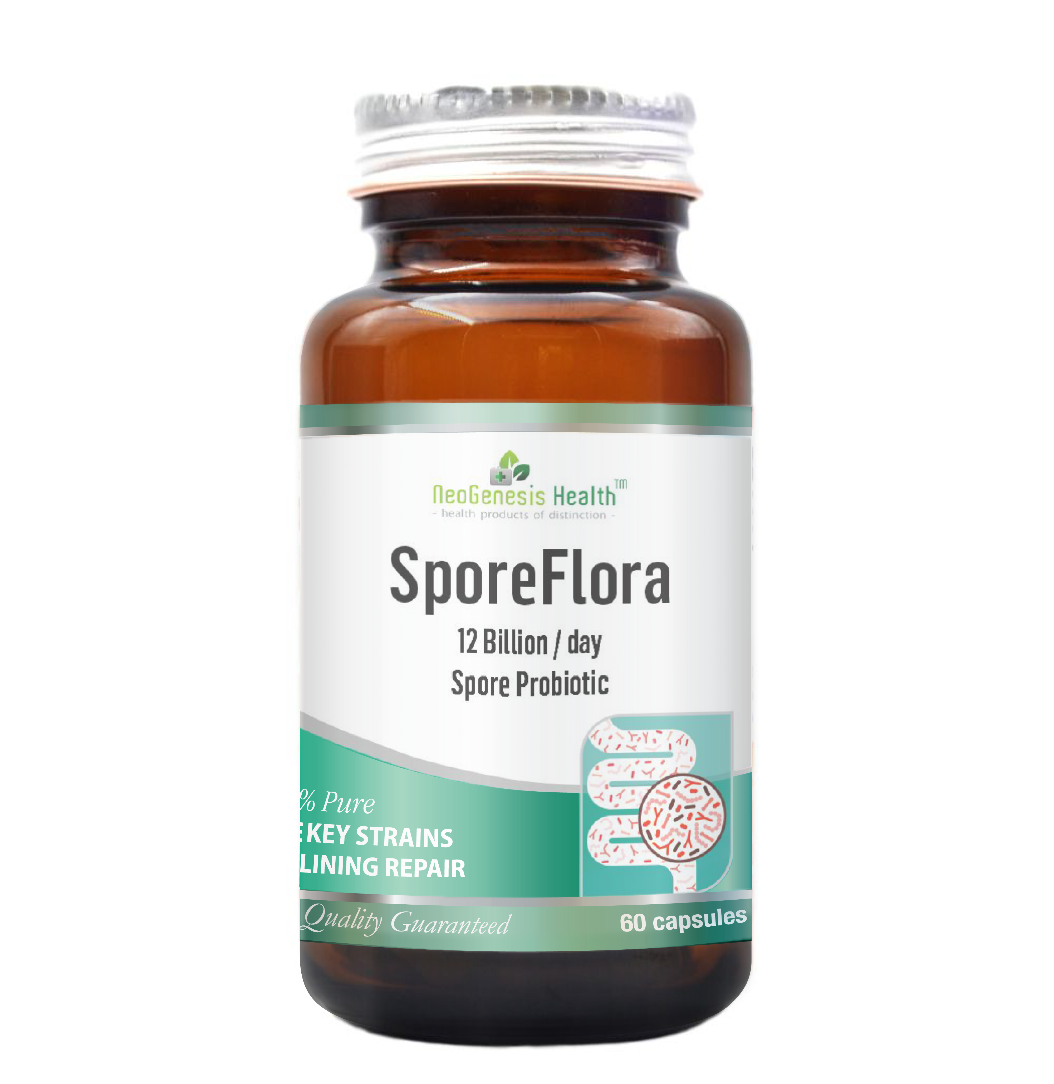 Sporeflora
